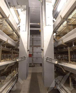 automatic chicken broiler cage feeding system