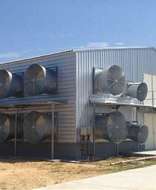 automatic broiler cage venlitation ststem