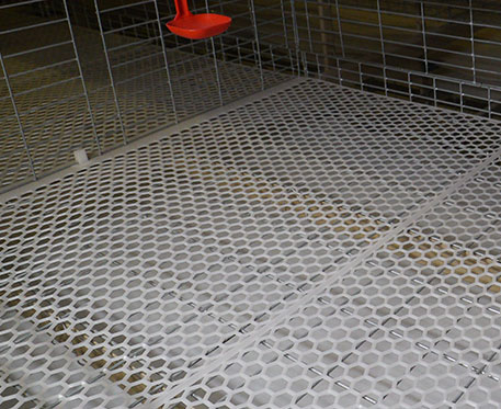 broiler cage mat