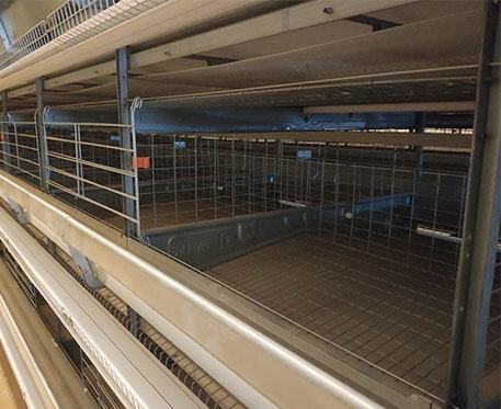 layer cage space for chicken