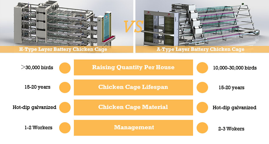 H Type Fully Automatic Layer Chicken Equipment