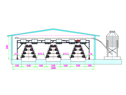 10,000 Layers Farm Design Plan
