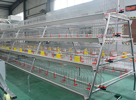A-Frame Pullet Battery Cage System