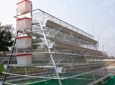 A-Type Manual Layer Cage System