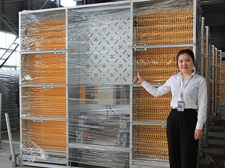 Successful automatic poultry farm battery chicken cage project in Uganda