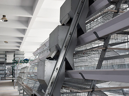 Chicken farming equipment battery cages for laying hen shipped in Zambia