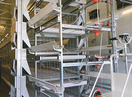 H-Type Broiler Battery Chicken Cage System