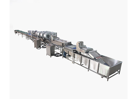 Egg Grading Machine