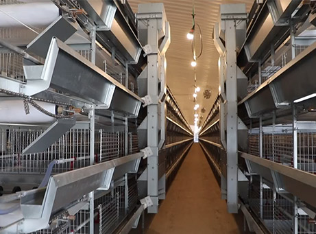 H-Frame Pullet Battery Cage System