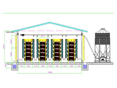 50,000 Layers Farm Design Plan