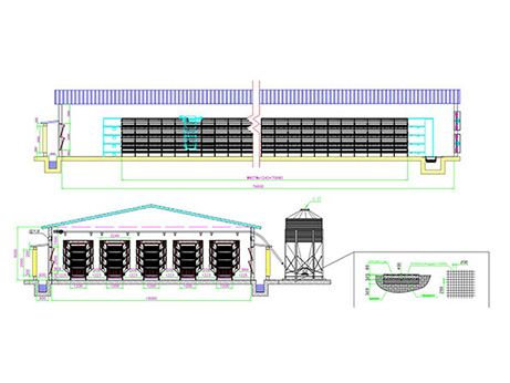 50,000 Pullets Farm Design Plan