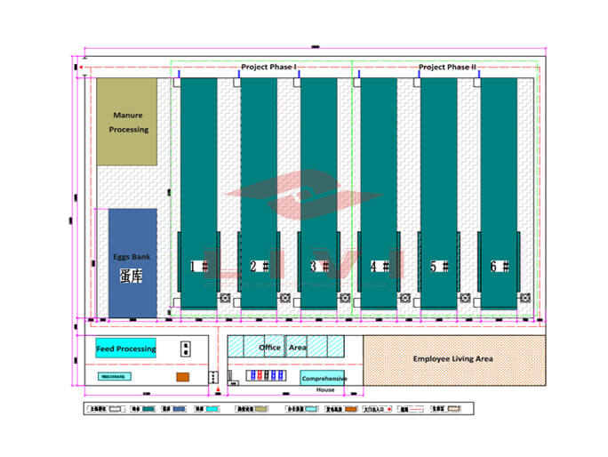 300,000 Layer Chicken Farm Solution