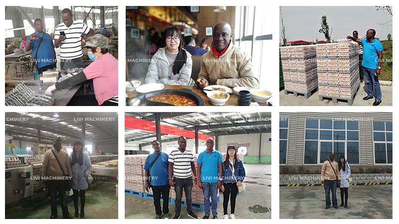 South African customers visited Livi Machinery's fully automatic layer chicken equipment