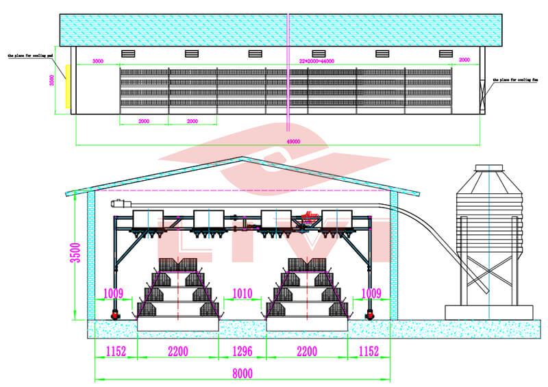 modern batetry pullet chicken house design