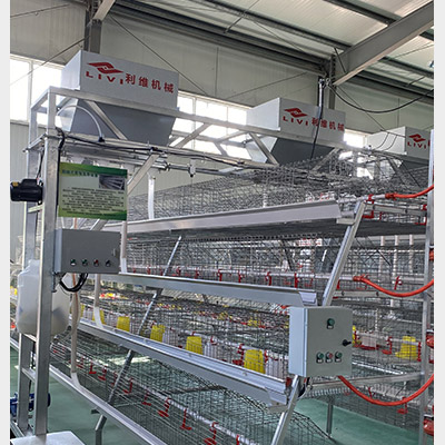 pullet chicken cage system-automatic lighting system