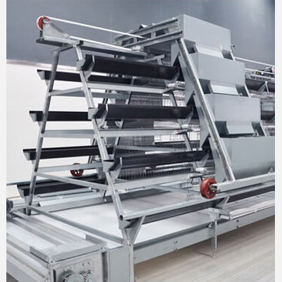 pullet chicken cage system