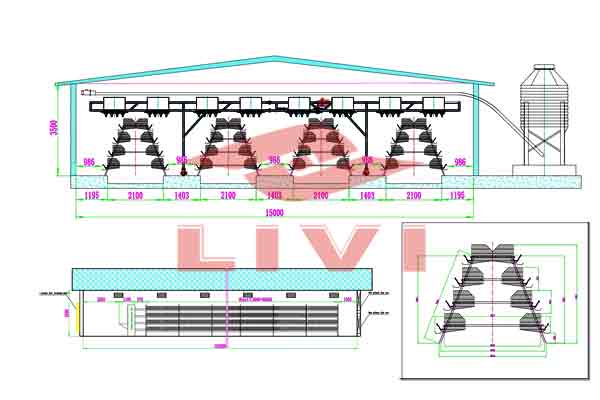 chicken farm solution and layout