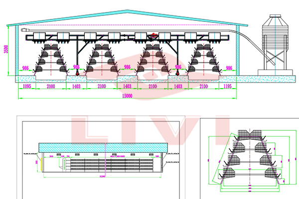 A-Type-Automatic-Layer-Cage-Farm-with-30,720-in-Zambia Chicken Farm Design