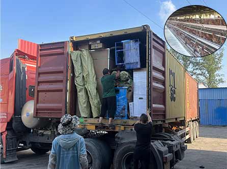 a-type 4-tier layer chicken cage for sale in zambia