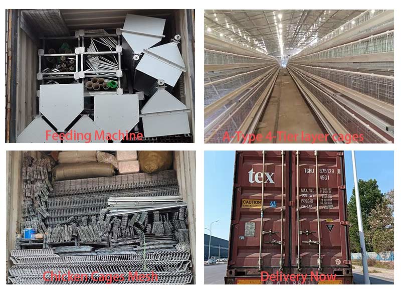 chicken-layer-cage-for-sale-in-tanzania