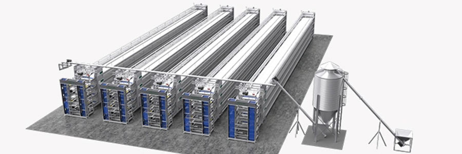 chicken farming equipment