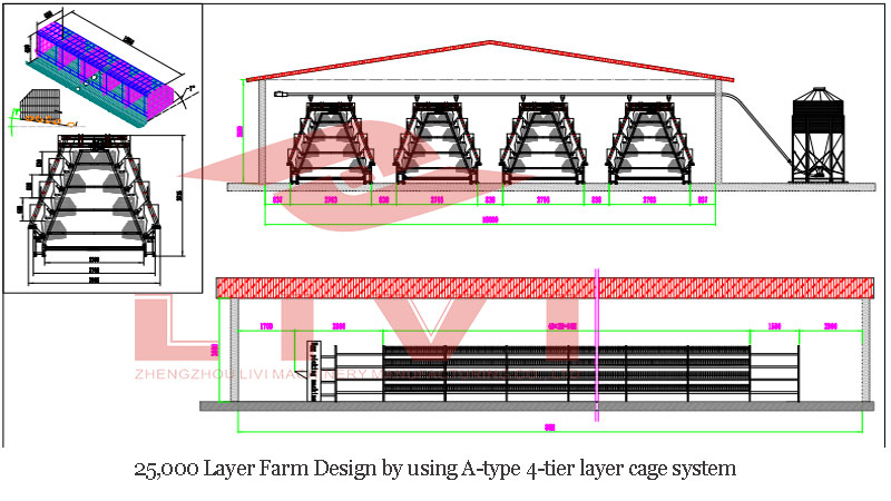 Layers Chicken Cages with Capacity of 15,000 Birds Farm in Zambia