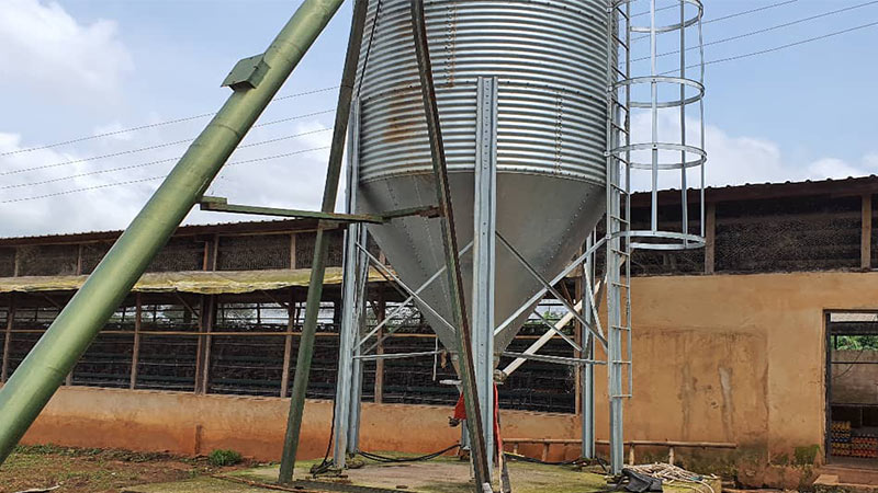 Poultry-Chicken-Cage-System-for-15,000-Layers-Farming-in-Lusaka-Zambia