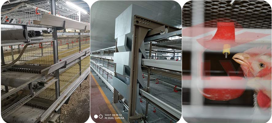 Automated Battery Cage System